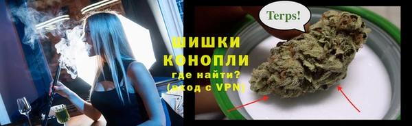 трава Бородино