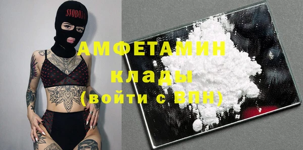 трава Бородино