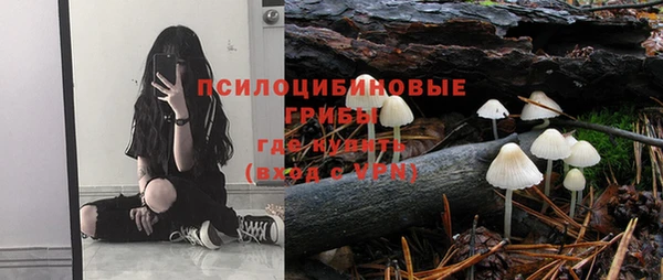 эйфоретик Бугульма