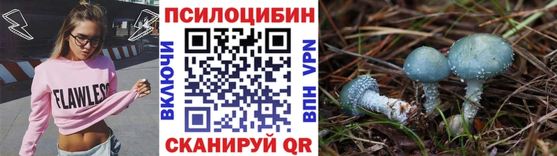 Купить где  Нарткала  Псилоцибиновые грибы мухоморы 